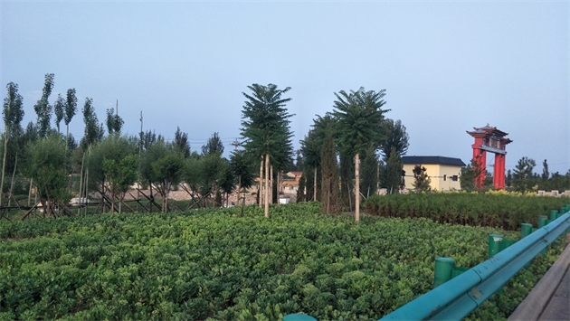 標題：張家口經開區(qū)腰站堡飲用水源地生態(tài)涵養(yǎng)綠化
瀏覽次數：2901
發(fā)表時間：2020-10-16