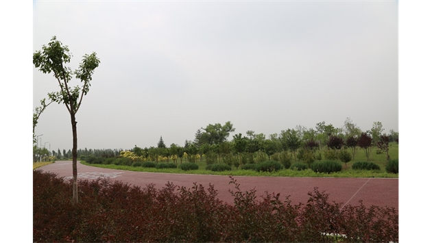 標題：大青山南坡生態(tài)修復
瀏覽次數(shù)：2381
發(fā)表時間：2020-10-16