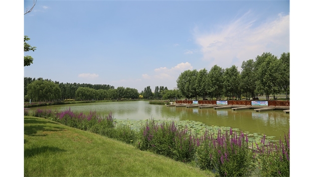 標題：包頭市民公園
瀏覽次數：1873
發表時間：2020-10-16