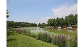 標題：包頭市民公園
瀏覽次數：1872
發表時間：2020-10-16
