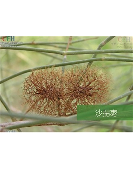 標題：名貴樹種
瀏覽次數：1821
發表時間：2020-10-17