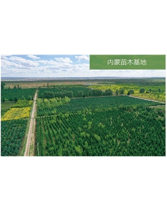 標題：苗木基地
瀏覽次數：2256
發表時間：2020-10-17