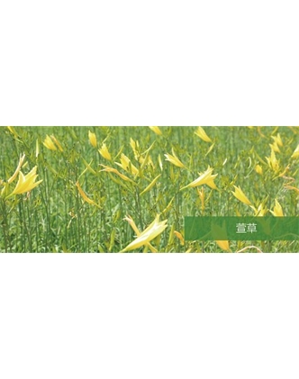 標題：地被
瀏覽次數：1821
發表時間：2020-10-17