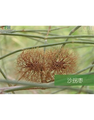標題：名貴樹種
瀏覽次數：1696
發表時間：2020-10-17